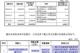 孚能科技上市，涉嫌抽逃参股公司出资图片