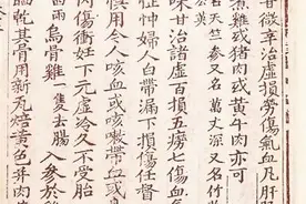 还阳参的印度别名图片