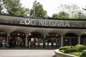新冠肺炎疫情殃及马来西亚国家动物园 被迫动用“紧急基金”图片