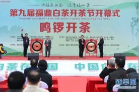 福鼎举办第九届白茶开茶节「组图」图片