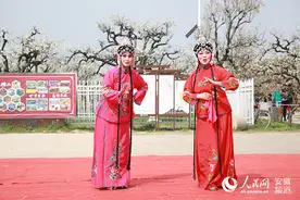 中国·砀山网络梨花节第三场直播：观砀山民俗 品梨都人文图片