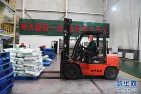 走向泥土是我们的终极梦想——一粒种子的自述图片