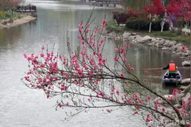 西安旅游推荐：西安东这片水域，春日桃花烂漫水韵清幽图片