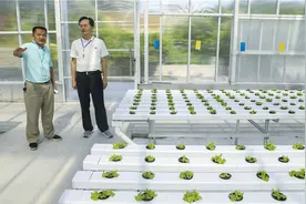 邓忠：开足马力 夺取疫情防控和经济社会发展双胜利图片