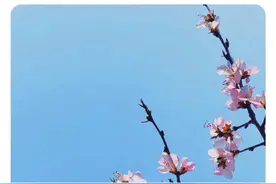 网络平台高价倒卖玉渊潭门票，三人被行政拘留图片