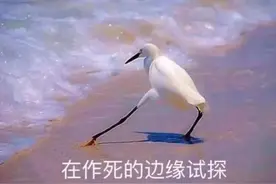 “熊孩子”皮起来不带重样？在今天，这些事一定要告诉您的孩子图片