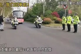英雄归来！洛阳支援湖北最后23名医护人员抵洛图片