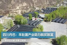 四川丹巴：羊肚菌产业助力脱贫致富视频封面