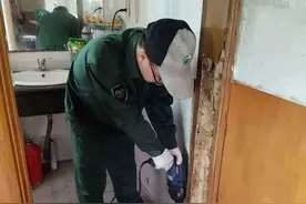 白蚁高发季！这些电话请收好，免费上门帮你灭蚁图片