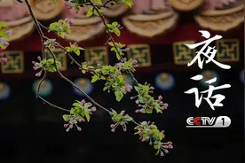 夜话丨冰心：一日的春光图片