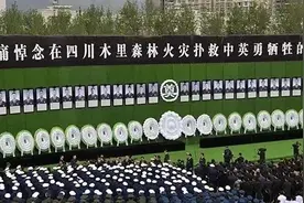 今天 让我们一起缅怀致敬木里“3.30”森林火灾中牺牲的31名灭火勇士！图片
