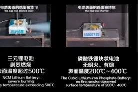 从改制车型、E平台到刀片电池设计图片