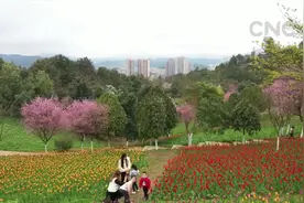 贵州龙里：百花斗艳护花忙视频封面