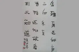 黑乌鸦图片