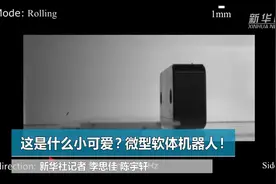 这是什么小可爱？微型软体机器人！视频封面