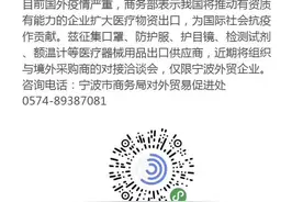 半天征集出口供应商75家 宁波“稳外贸”再推“云对接”图片