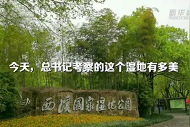 今天，总书记考察的这个湿地有多美视频封面