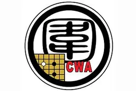 首届中欧网络围棋擂台赛开赛图片