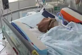11岁女童高空扔苹果，砸瘫三个月女婴，一审被判赔185万余元图片