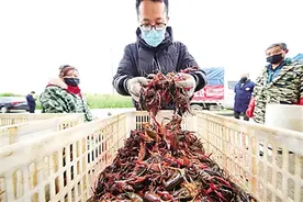 湖北农产品重回各地百姓餐桌图片