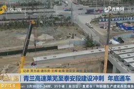 青兰高速莱芜至泰安段改扩建项目紧急施工中，将确保2020年底通车视频封面