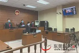 塘厦“高空掉苹果砸伤女婴”案一审 肇事女孩监护人赔偿185.8万图片