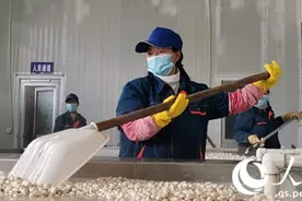 陇南西和：以特色产业筑牢脱贫之基图片