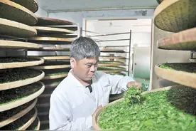 省委书记“代言”山西药茶 特色产业“晋”力十足图片