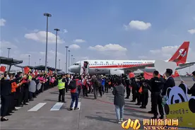 换我为你送花！妻子手捧蓝色绣球 迎接援湖北丈夫回家图片