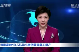 AI合成主播｜深圳发放10.5亿元小微贷款促复工复产视频封面