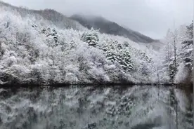 美！洛阳白云山迎三月“桃花雪”视频封面