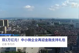 中国财富报道|双1万亿元！中小微企业再迎金融支持礼包视频封面
