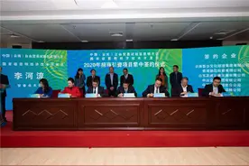 总投资226.8亿元！自贸试验区昆明片区签约22个重点项目图片