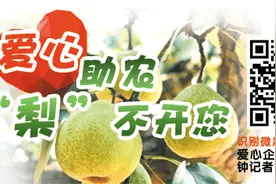 烟台人注意！4月起基本养老金发放时间调整为每月20日至25日图片