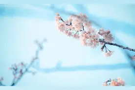 江苏大学：春天在这里呀图片