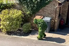 灌木丛在地上打滚？英国人拍下邻居为躲避居家政策的搞笑一幕图片