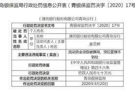 流动资金贷款被挪用，潍坊银行青岛分行违法遭罚70万图片