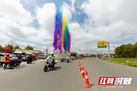 烟花迎英雄！浏阳首批驰援武汉医护人员凯旋图片
