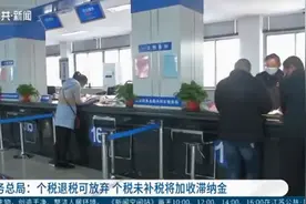 税务总局:个税退税可放弃,个税未补税将加收每日万分之五的滞纳金视频封面