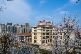春日限定｜四月踏青，这里花开烂漫正当时图片