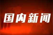 越南新娘跑了，株洲丈夫起诉说媒人，想索回11万元婚姻介绍费，法院这样判图片