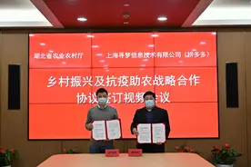 湖北与拼多多签订战略合作协议：市长县长带头直播 6亿人为湖北“拼一单”图片