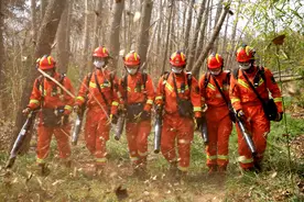 山东森林火灾扑救实战拉动演练在多地同时举行图片
