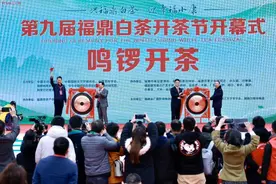 福鼎白茶产业牵手抖音天猫聚划算全面升级销售推广模式图片