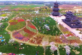 诗画嘉兴 美丽城镇 | 以樱为媒，迎八方客；唐风古韵犹存，钟埭风景独好图片
