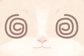 一阵阵的眩晕发作，这到底是怎么回事？图片