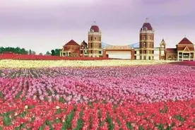 洛阳又一景区宣布恢复开放！郁金香花海美翻了…图片