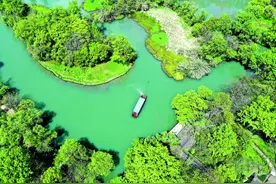 “天堂绿肺”养成记 西溪湿地：从污水横流到城市生态建设标杆图片