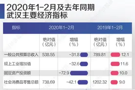 武汉疫情攻坚期经济数据发布：消费为去年六成，投资下降72%图片