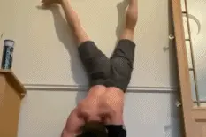 荷兰弟成功挑战倒立穿衣 臂肌腹肌一览无余尽显好身材图片